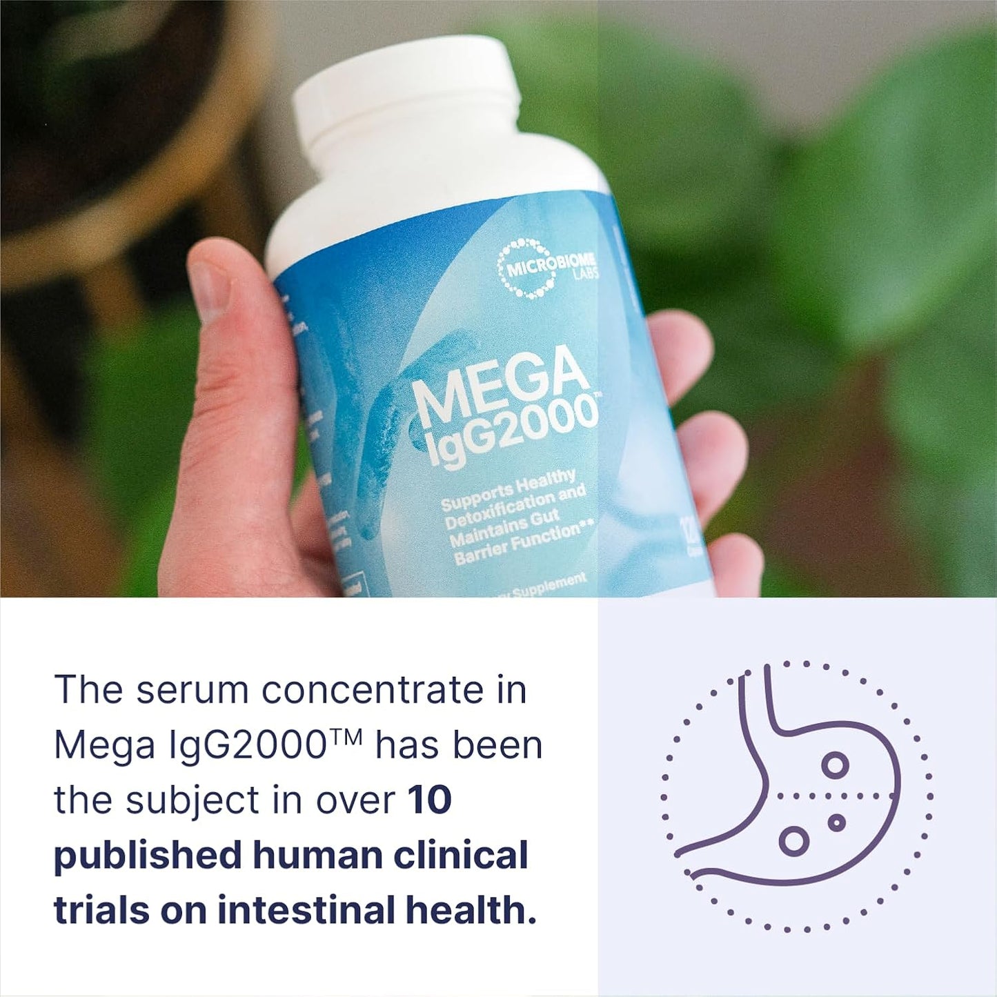 美國Microbiome Labs 牛血清免疫球蛋白IgG2000 Mega IgG2000,120粒膠囊