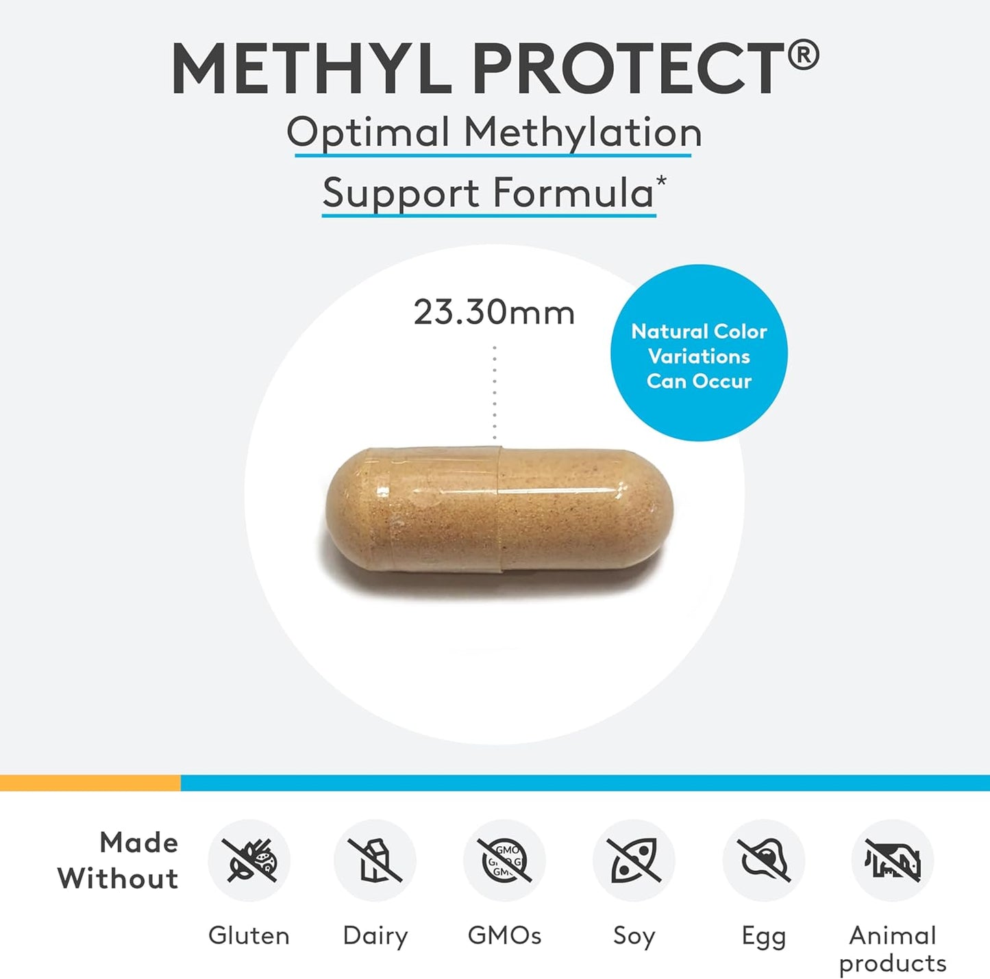 美國XYMOGEN 甲基化支援 Methyl Protect,60 粒膠囊