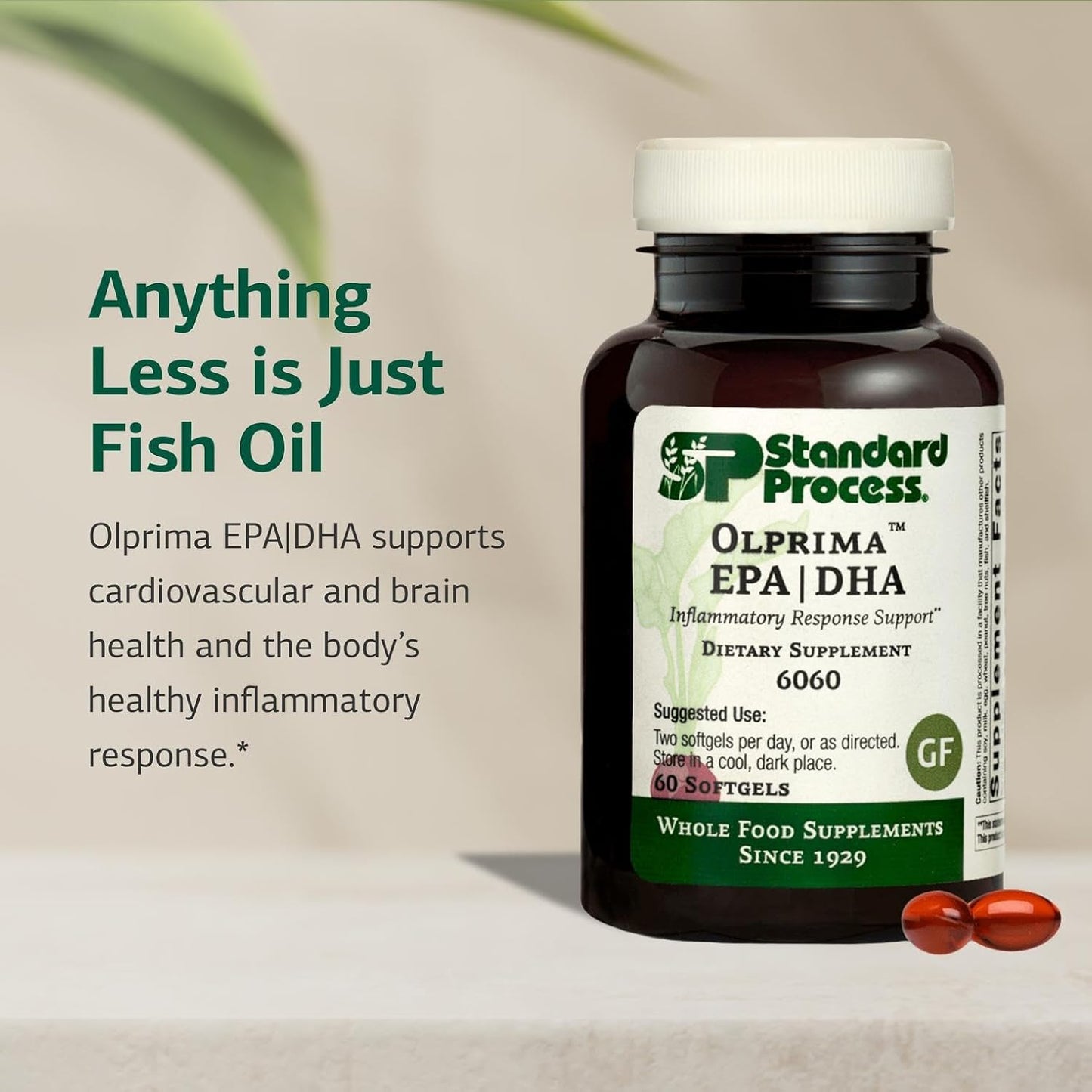 美國Standard Process 高品質魚油 Olprima™ EPA|DHA 60粒膠囊