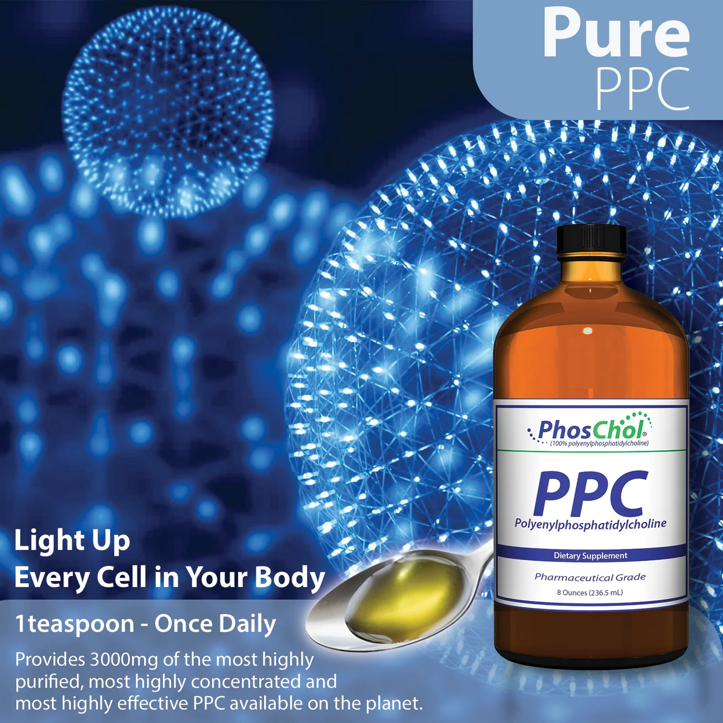 美國Nutrasal - PhosChol 醫藥級多烯磷脂酰膽堿 PPC 8盎司/236.5 mL