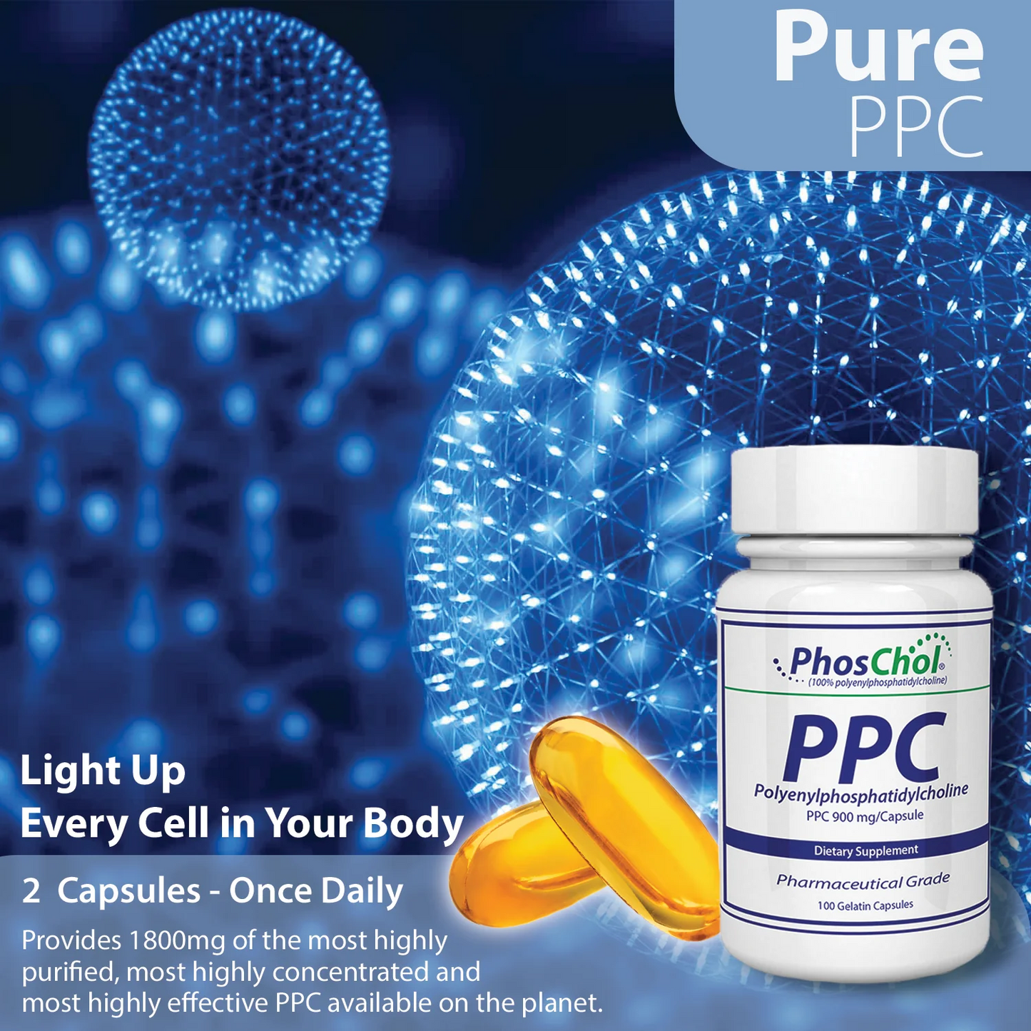 美國Nutrasal PhosChol 醫藥級 PPC 900 毫克,100 粒素食膠囊