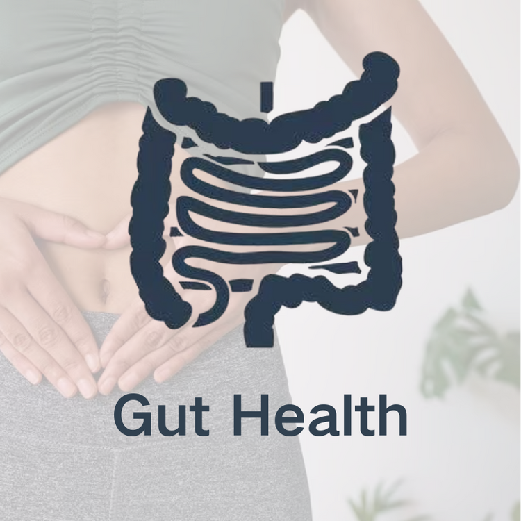 腸道健康