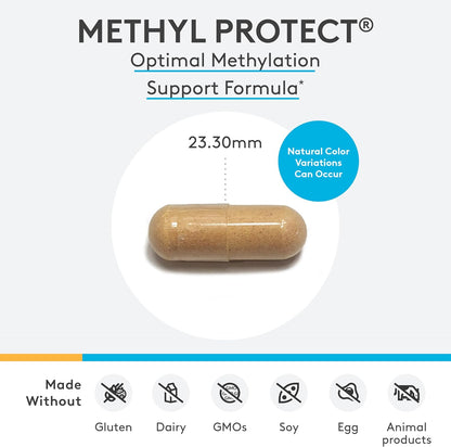 美國XYMOGEN  甲基化支援 DNA 修復 Methyl Protect，60 粒膠囊