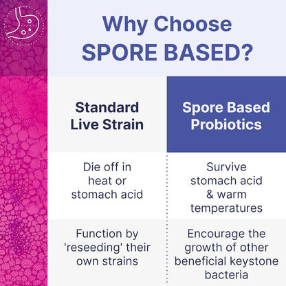 美國Microbiome Labs 孢子益生菌 MegaSporeBiotic，60粒膠囊